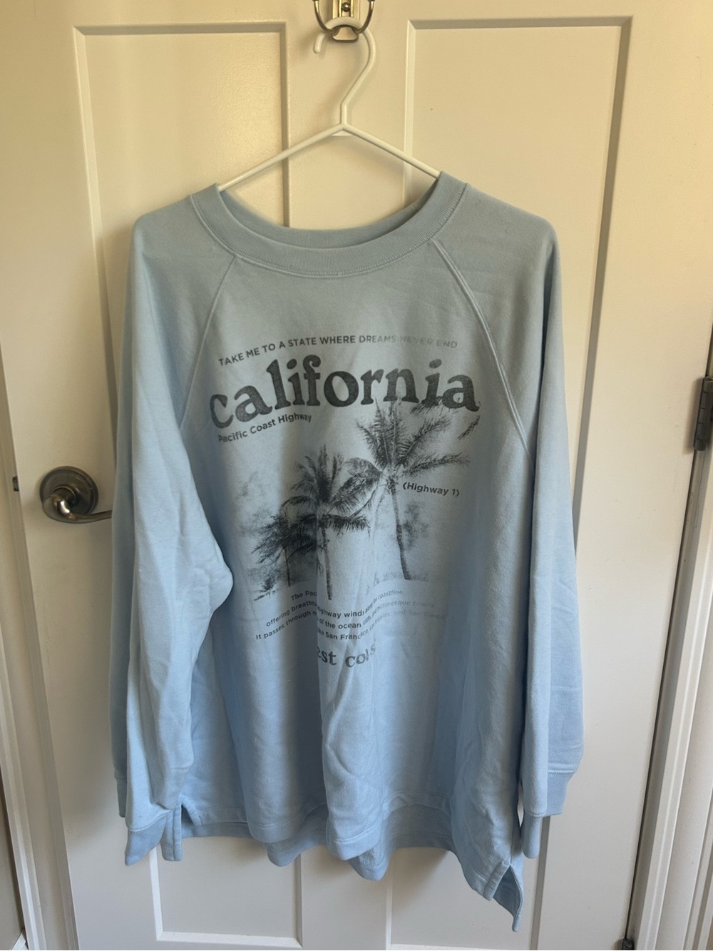 American Eagle Graphic Crewneck